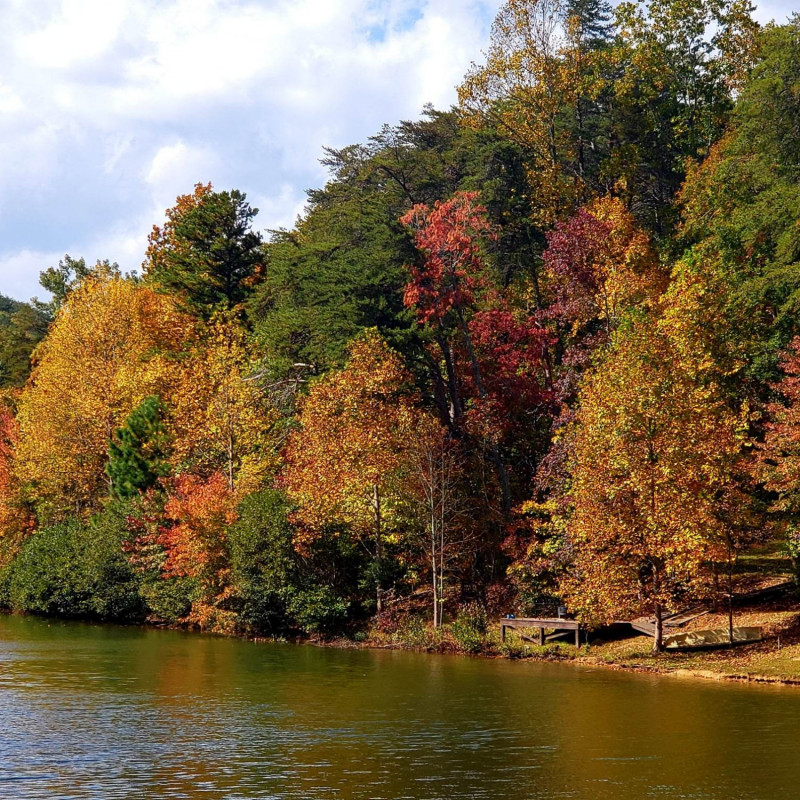 Salacoa Highlands Community