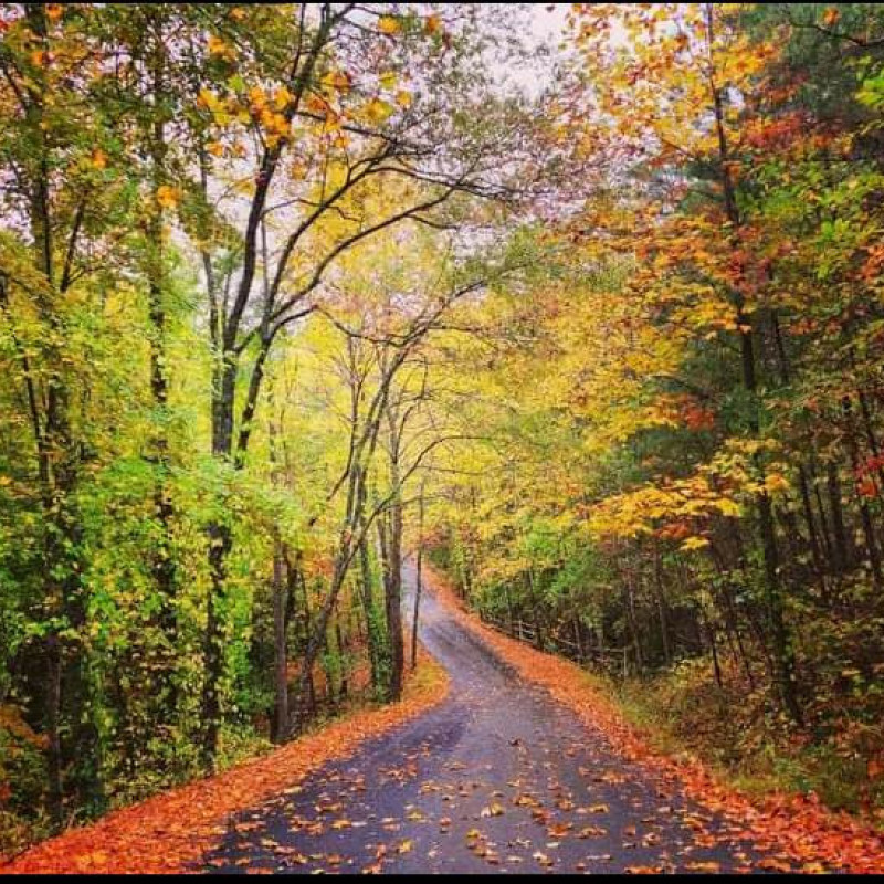 Salacoa Highlands Community