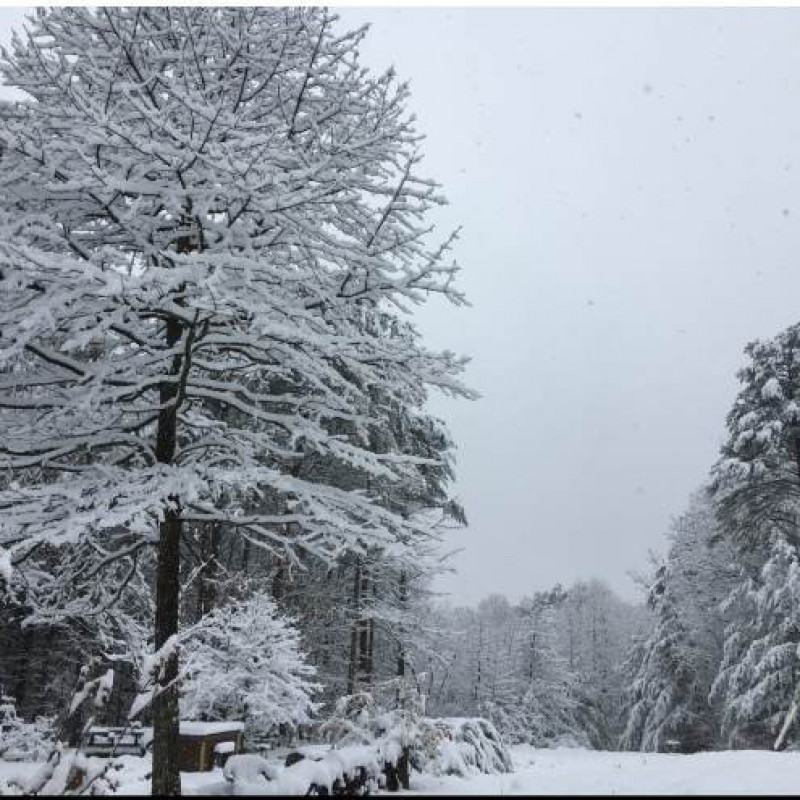 Salacoa Highlands Community